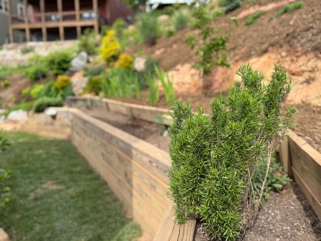Building Photo - Black Mountain - Gardeners Delight!!