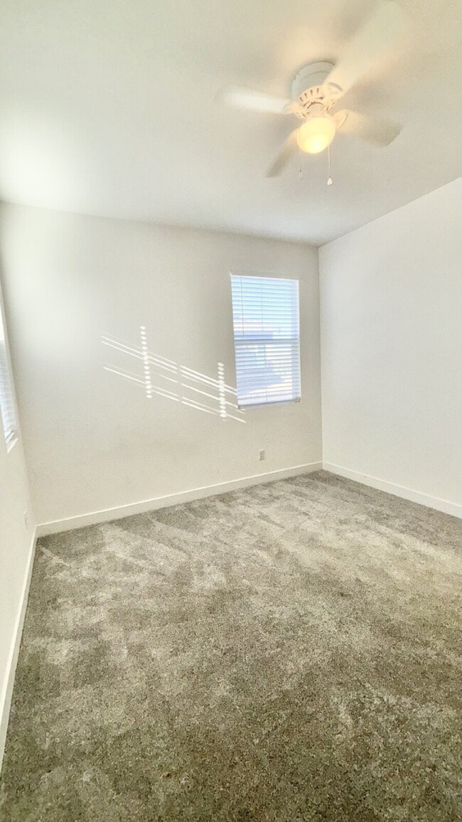 Building Photo - 4 Bedrooms Available University Park