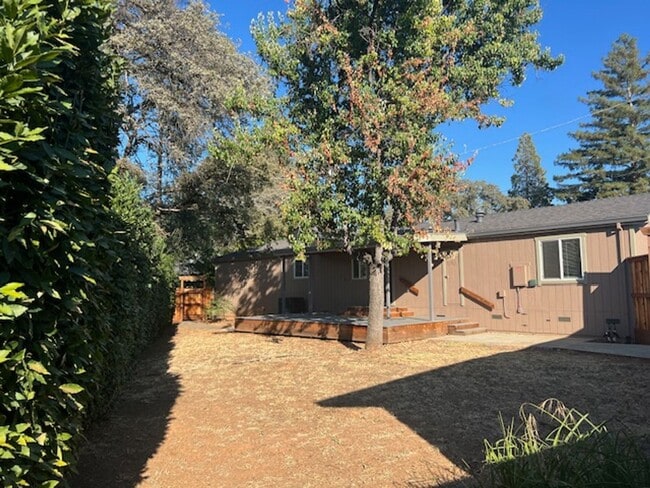 Building Photo - Modern Auburn Retreat—Fully Renovated 3BR ...
