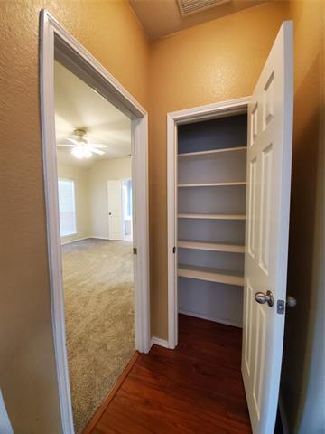 Building Photo - 4017 Chinaberry Dr