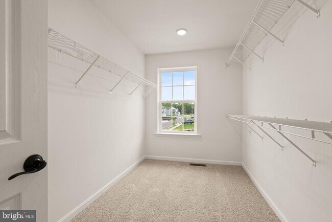 Building Photo - 9166 Arctic Fox Wy