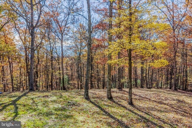 Building Photo - 438 Gloyd Ln