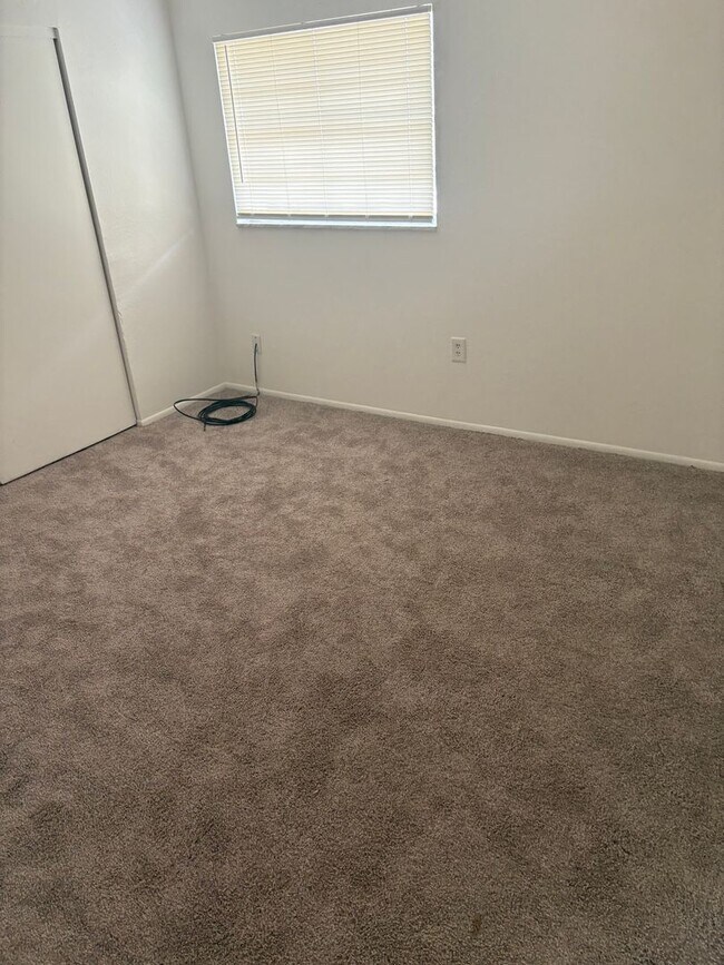 Building Photo - Baywatch Apartments- Five Minutes Driving from USF