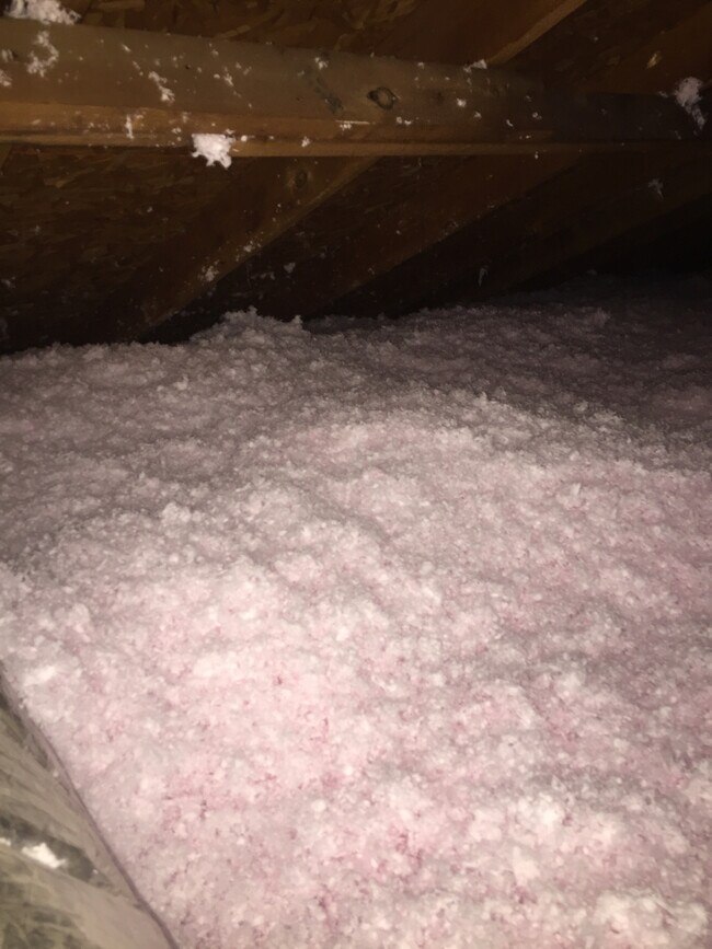 Building Photo - 3409 S Carolina Dr