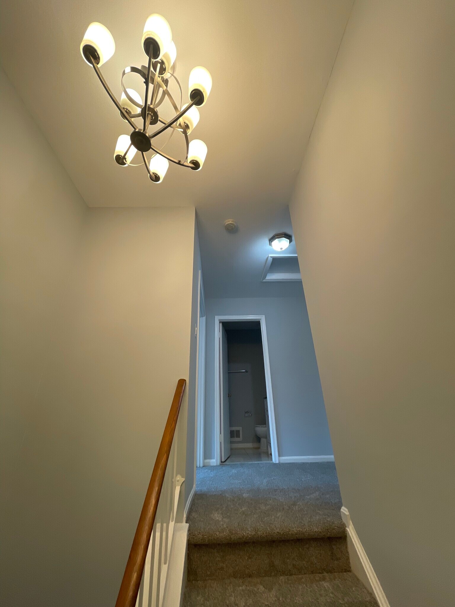 Building Photo - 6802 Cottingham Ln