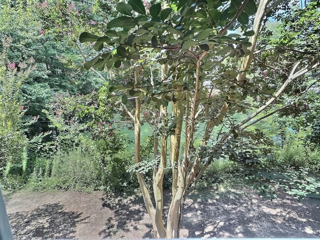 Building Photo - 109 Weatherhill Point