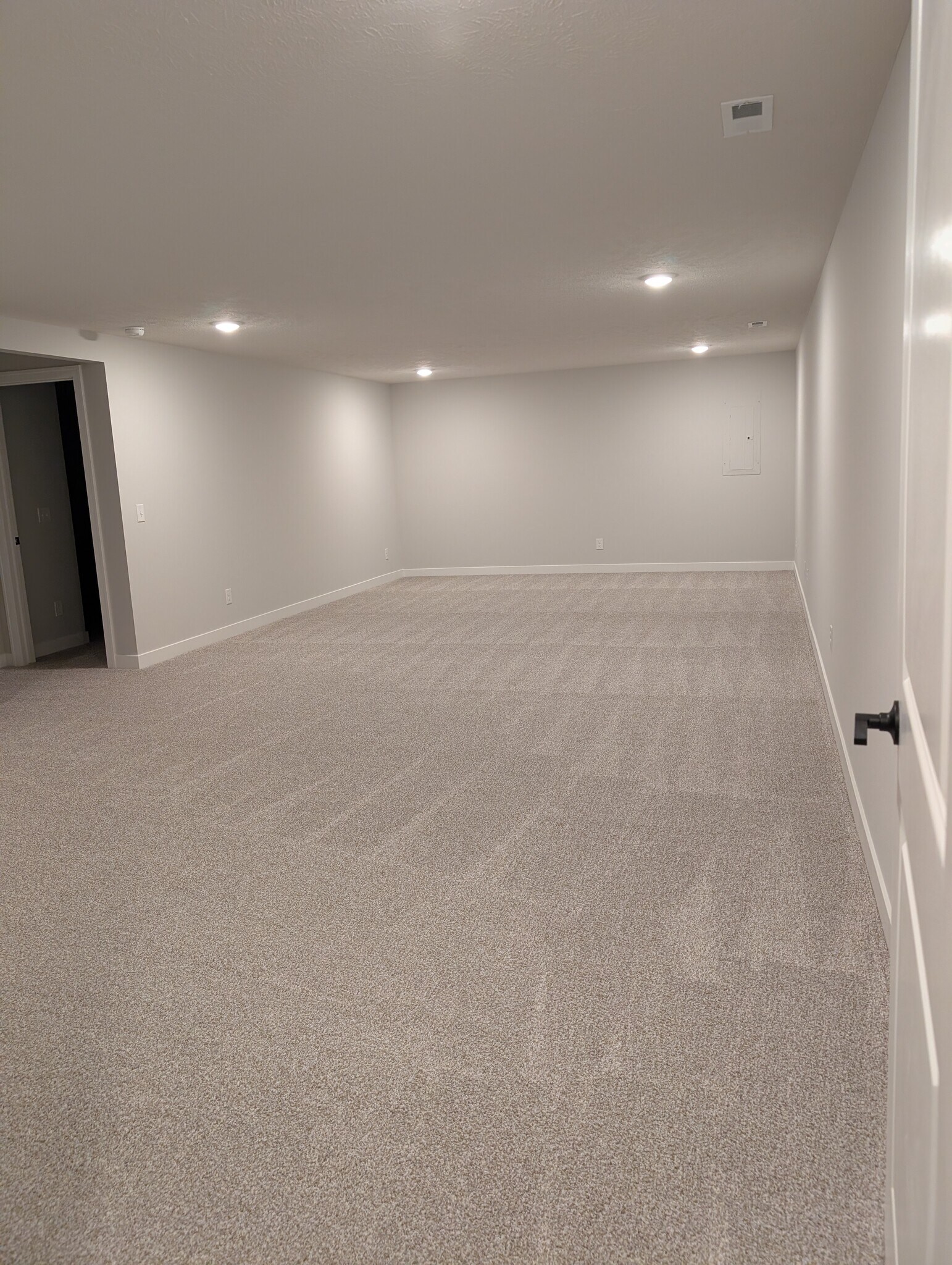 Basement Family Room - 12855 S 45th Ter