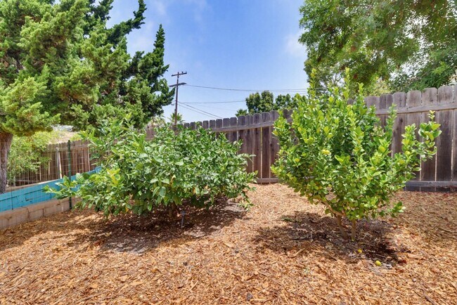 Building Photo - Beautifully Maintained Home in La Mesa — 3 Bed / 2 Bath | 1,600 Sq Ft