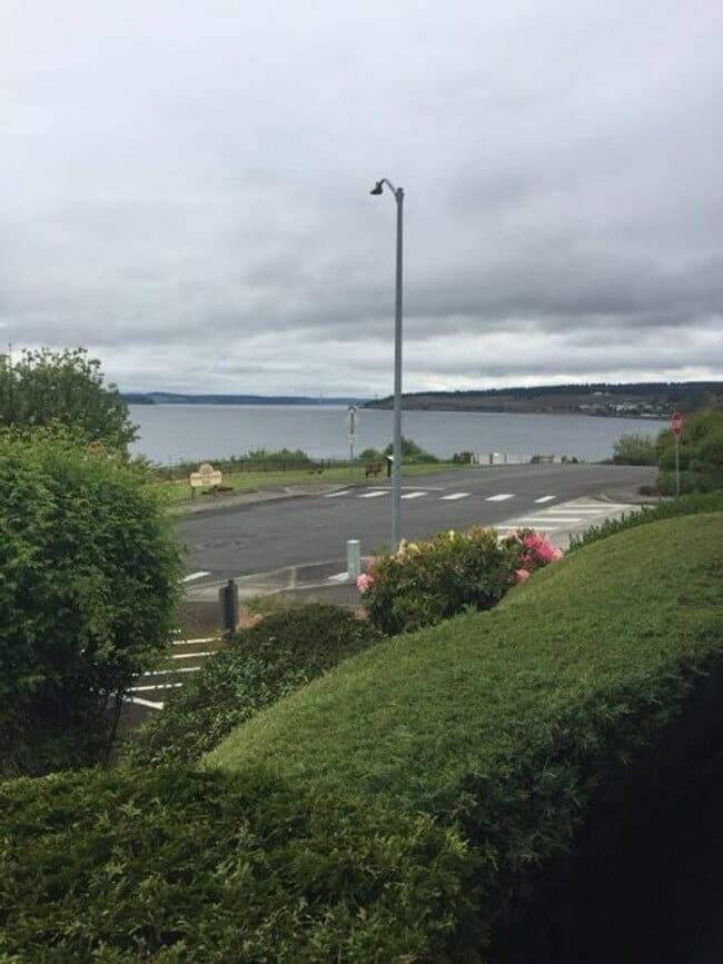 Building Photo - Steilacoom 1 bedroom with a view of  the