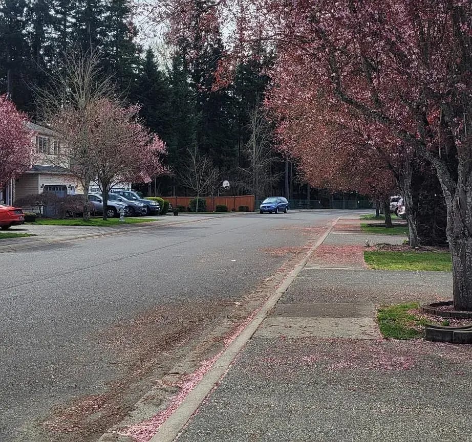 Building Photo - 16902 118th Avenue Ct E