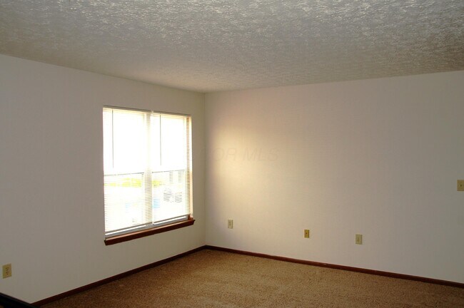Building Photo - 5561 Cedar Springs