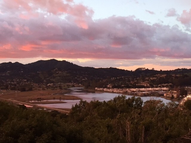 Master Bedroom View 2 - 316 Donahue St