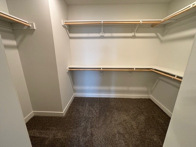 Building Photo - 11407 N 161st Ct