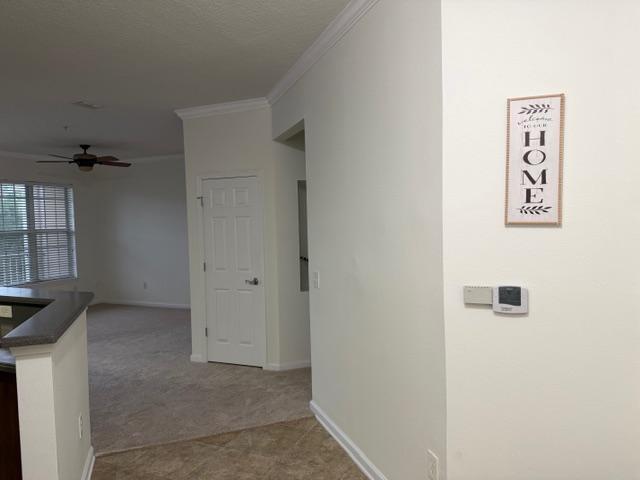 Building Photo - 11251 Campfield Dr