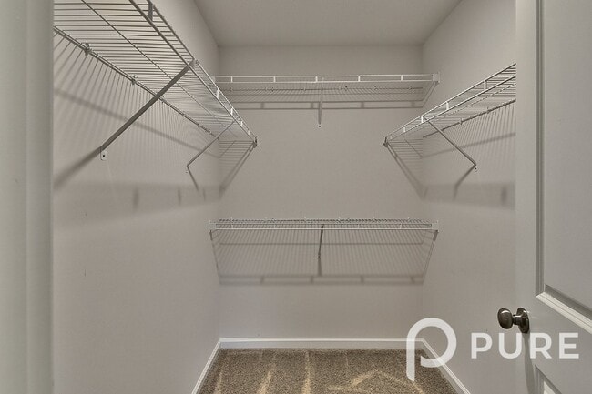 Building Photo - 373 Council Loop, Columbia, SC 29209