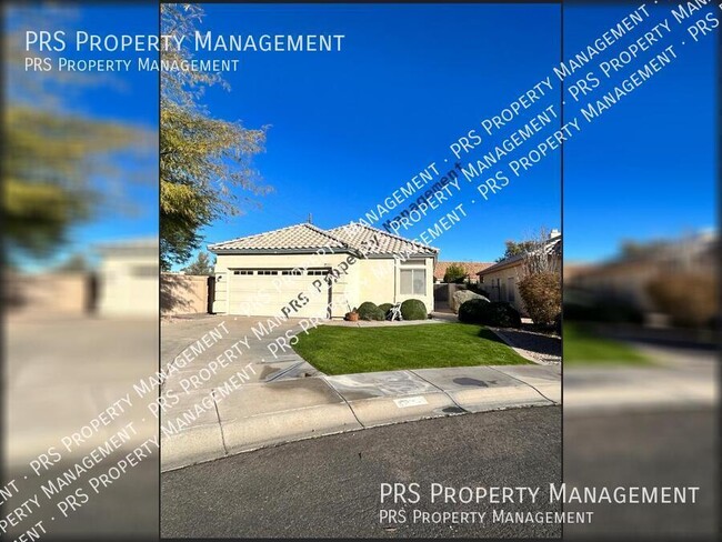 Primary Photo - TENANT IS SHOWING PROPERTY