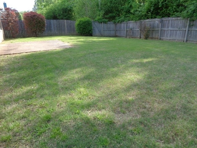 Building Photo - 3015 Shadow Green Ln