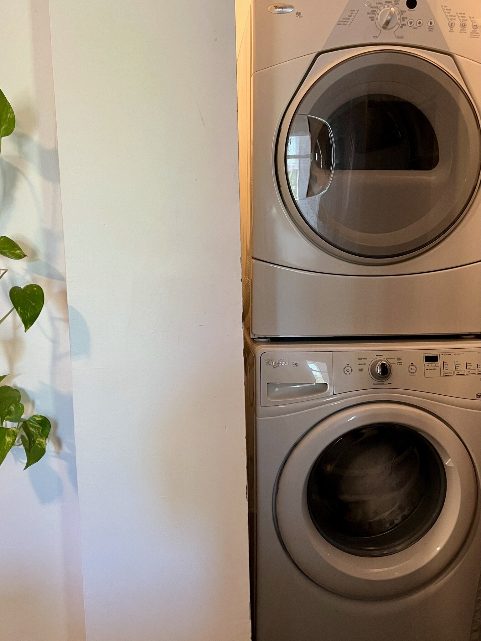 In-unit washer and dryer. - 5142 S Greenwood Ave