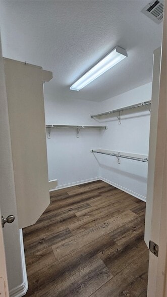 Building Photo - 5407 Moon Indigo Ln