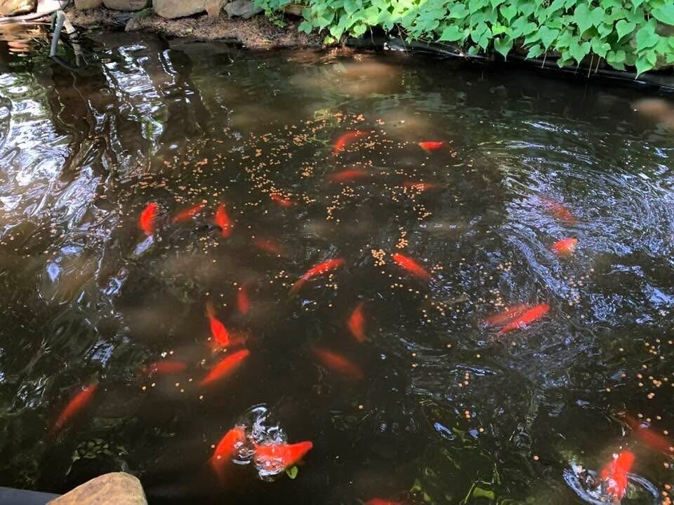 Building Photo - 49 Duke St