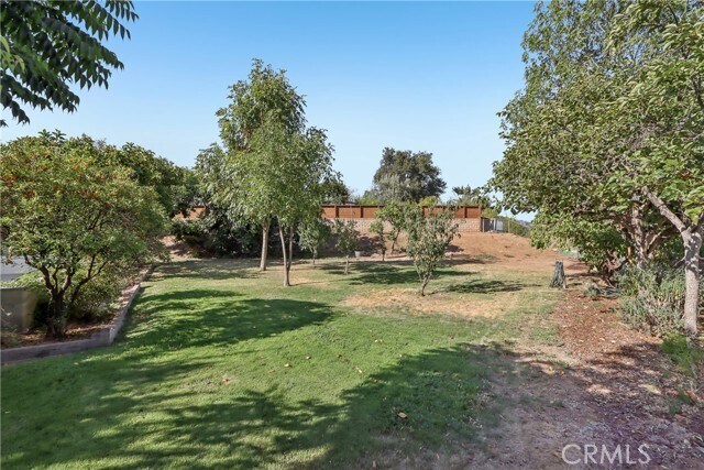 Building Photo - 1184 Lyndhurst Dr