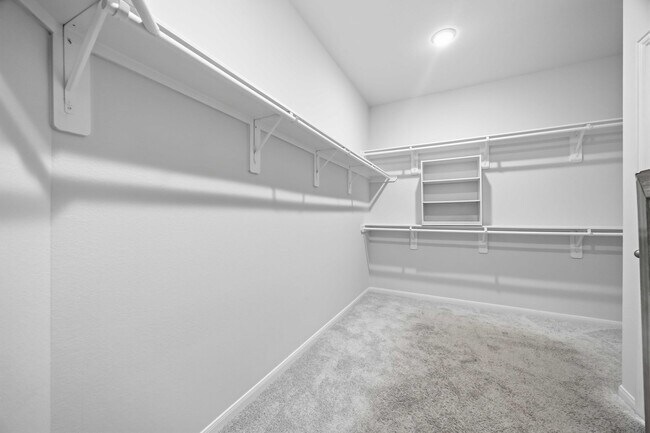 Building Photo - 2402 Mount Dana Dr