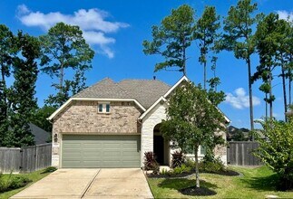 Building Photo - 322 Fanpalm Ct