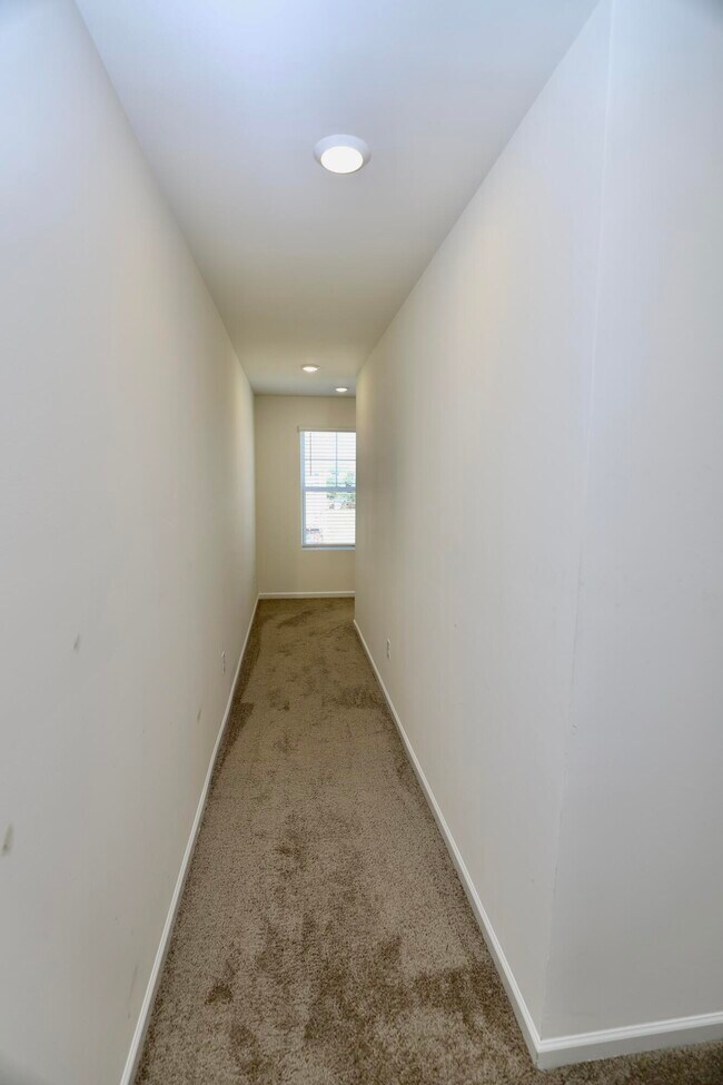 Building Photo - 1718 Canopy Dr
