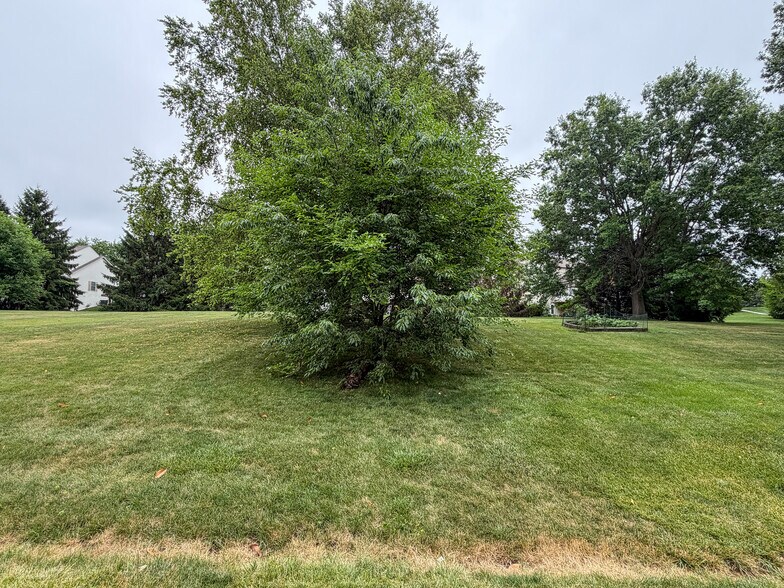 Building Photo - 425 Deerfield Dr