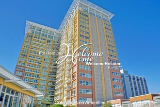 Building Photo - High-rise Montage - Extra Large 1 Bedroom ...