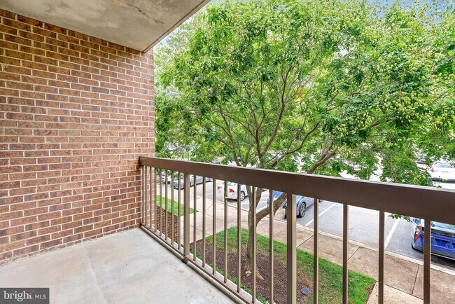 Building Photo - 11401 Commonwealth Dr