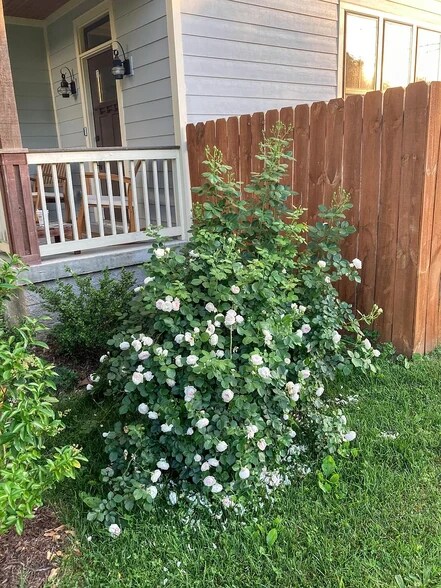 Building Photo - 2017 12th Ave N