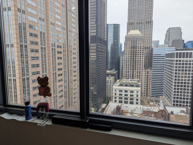 Building Photo - Incredible High Floor 1b1b in Chicago Down...