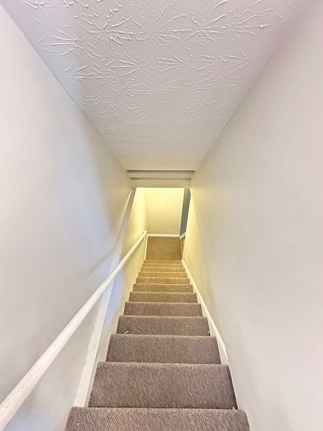 Building Photo - 114 Tanbark Dr