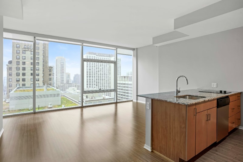 Building Photo - 455 N Cityfront Plaza Dr