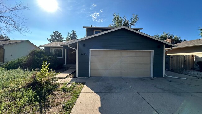 Primary Photo - Great House In Fort Collins