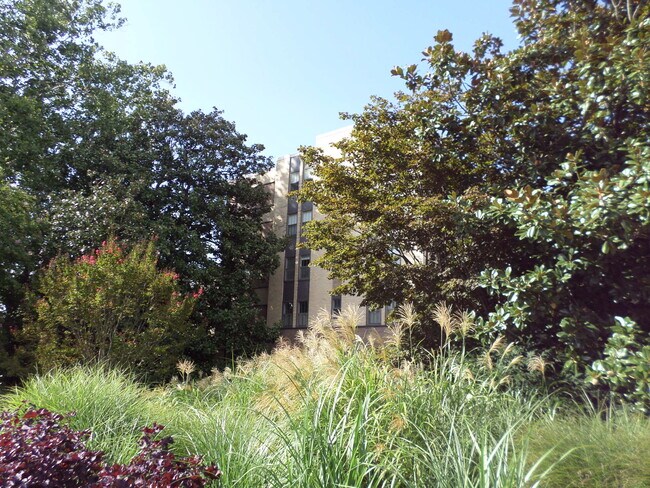 Building Photo - 3901 Cathedral Ave NW