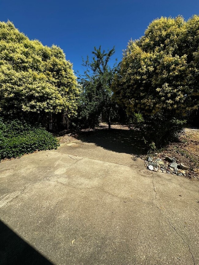 Building Photo - South Redding Home
