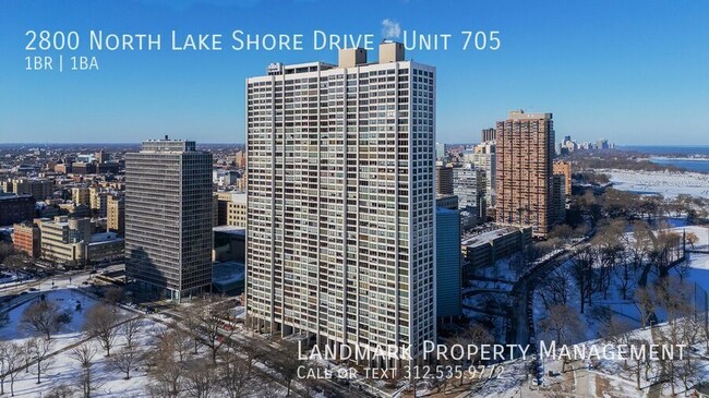 Building Photo - 2800 N Lake Shore Dr