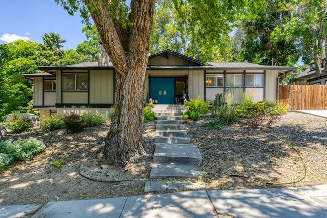 Primary Photo - Renovated Mid Century Modern Home in the D...