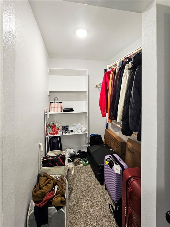 Building Photo - 2091 Bluebonnet Ln