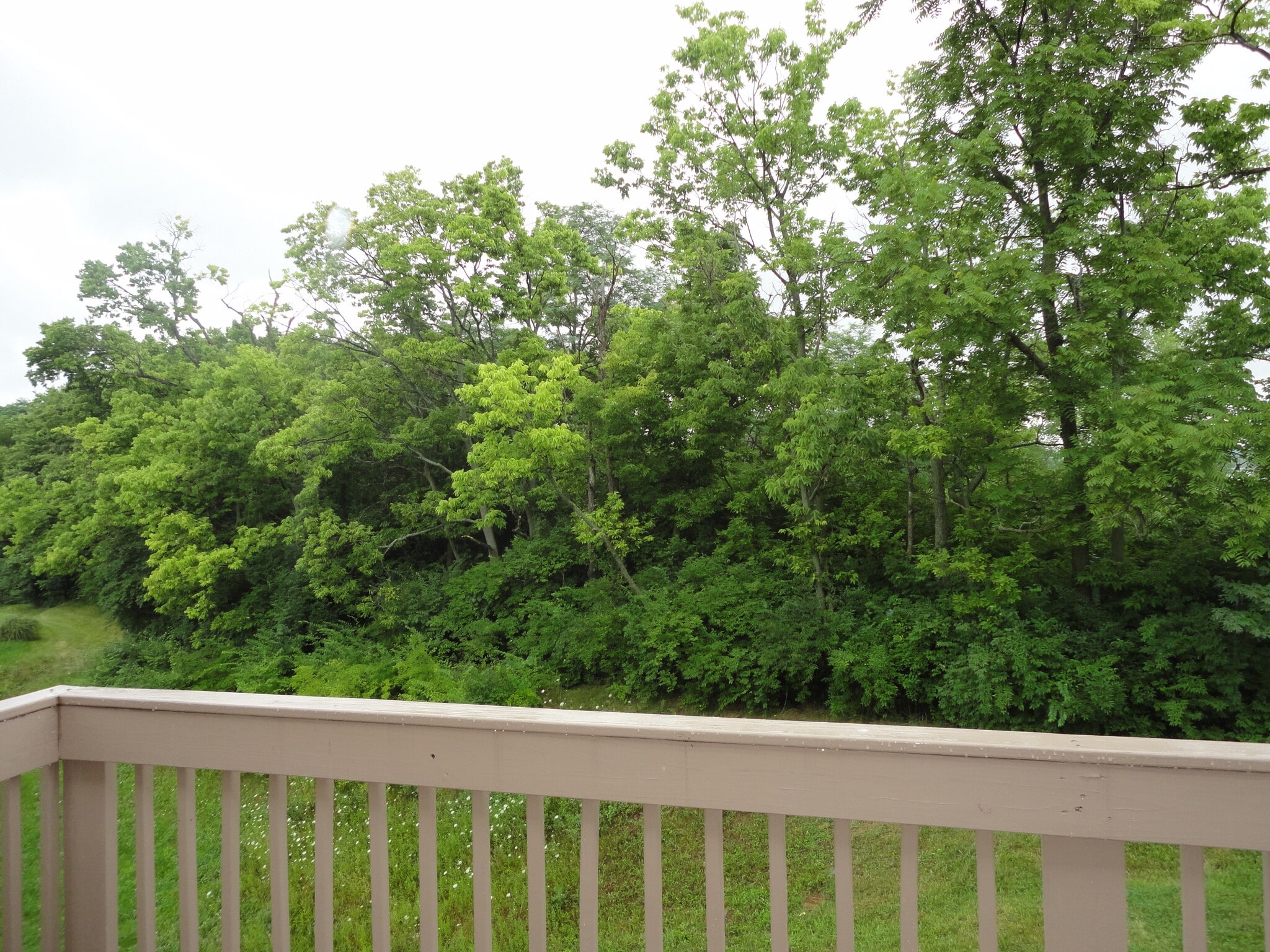 Building Photo - 8510 Ethan Ct