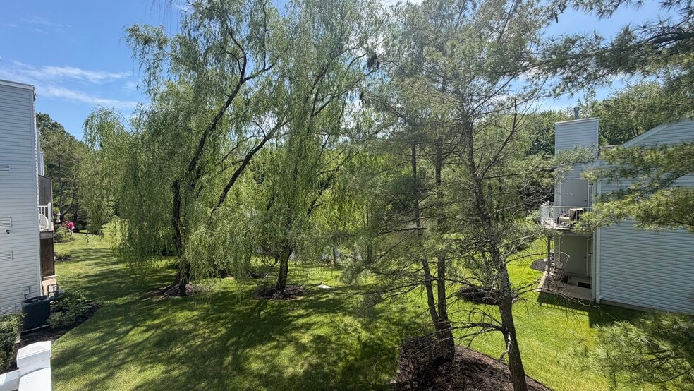PATIO VIEW - 1010 Squirrel Rd