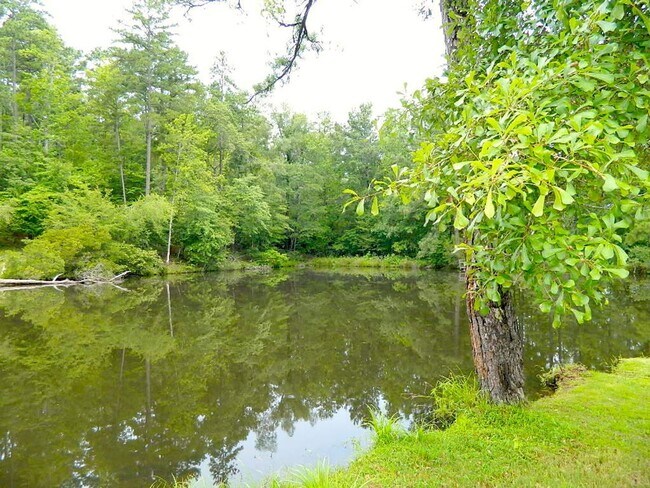 Building Photo - 1521 Baldwin Lakes Dr