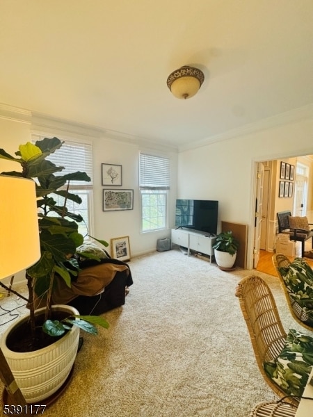 Building Photo - 2 Bedford Dr