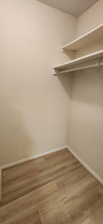 Large Hall Closet - 3705 S George Mason Dr
