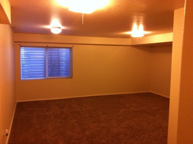 basement - 5710 Appalachian Vw