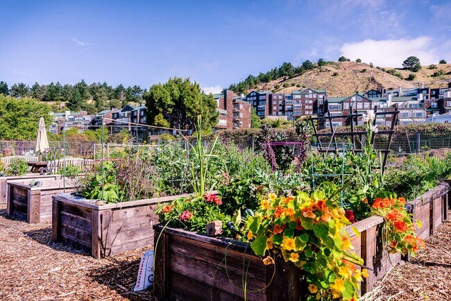 Building Photo - 1400 Pinnacle Ct