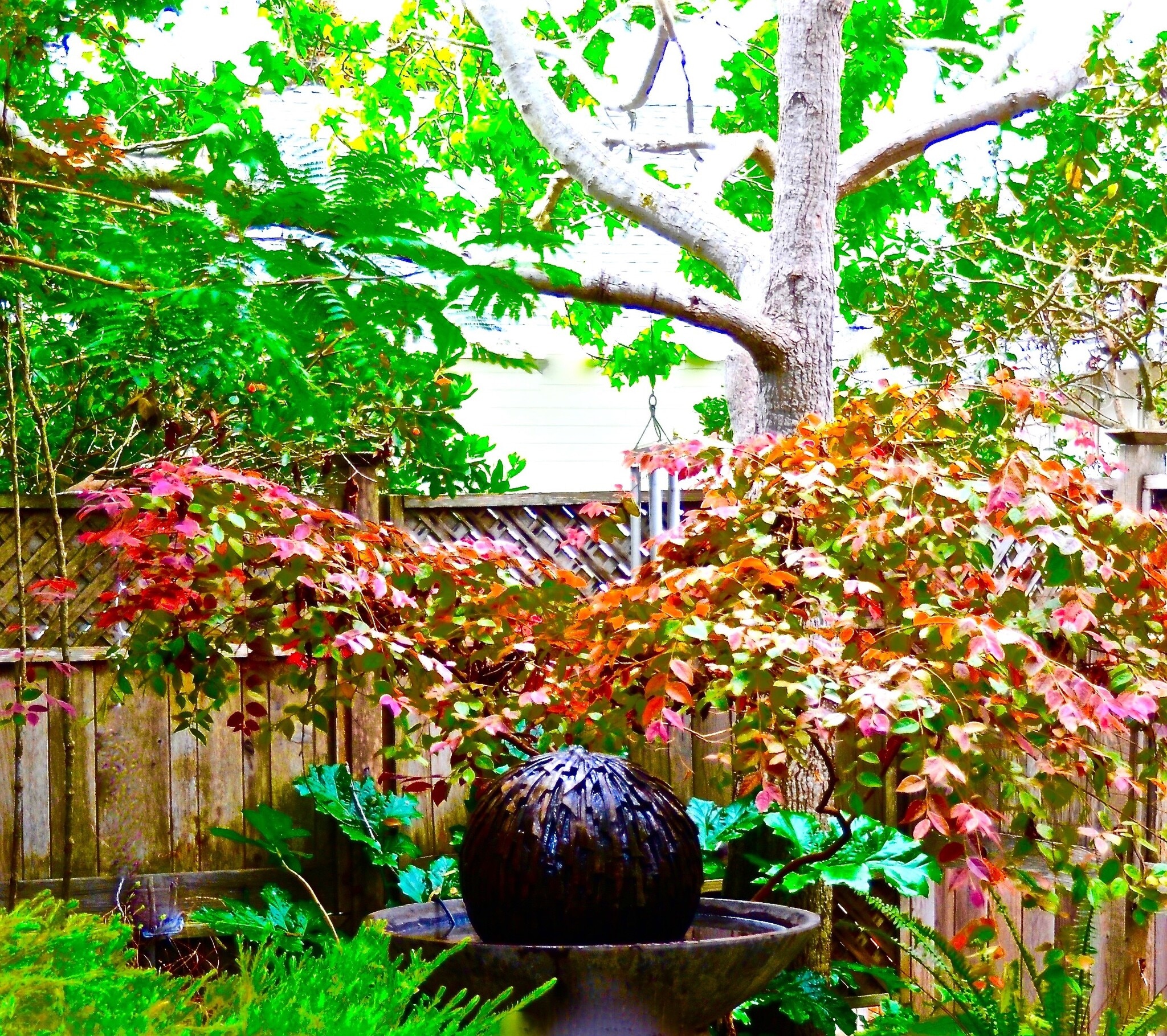 Building Photo - 137 4th St