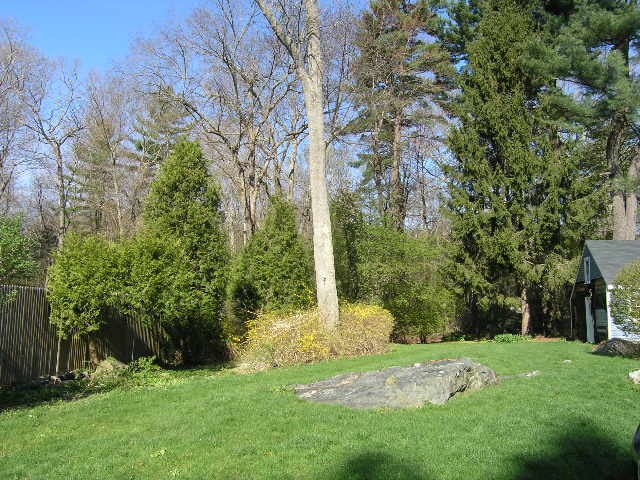 Building Photo - 316 Conant Rd